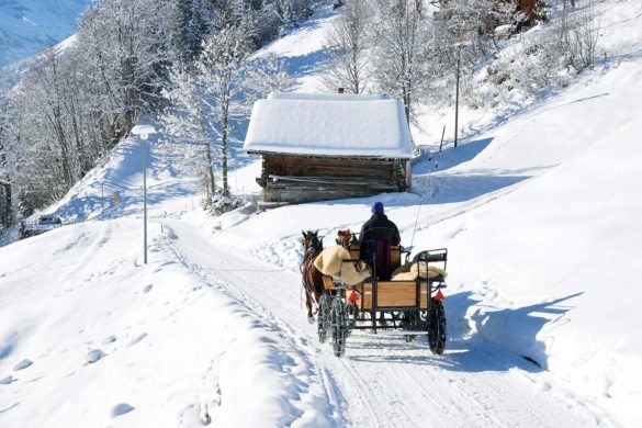Pferdeschlittenfahrten im Winter- & Skiurlaub in Obertauern, Salzburg
